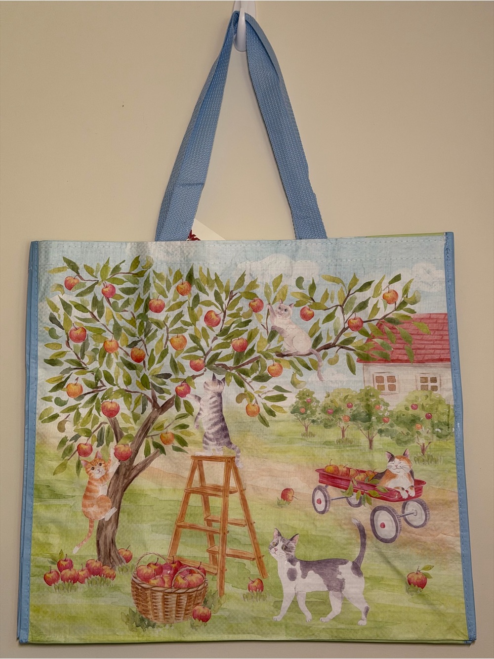 Fall Tote Bag Set Dogs Playing Football 🏈 Cats Picking Apples 🍎 Reusable Bag - Picture 2 of 3